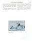 Page: - 351 | Dartmouth Alumni Magazine