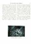 Page: - 19 | Dartmouth Alumni Magazine