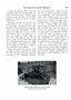 Page: - 235 | Dartmouth Alumni Magazine