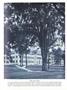 Page: - 375 | Dartmouth Alumni Magazine