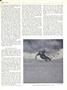 Page: - 11 | Dartmouth Alumni Magazine