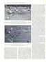 Page: - 30 | Dartmouth Alumni Magazine