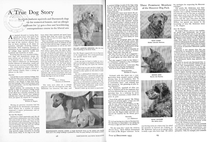 A True Dog Story