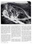 Page: - 15 | Dartmouth Alumni Magazine