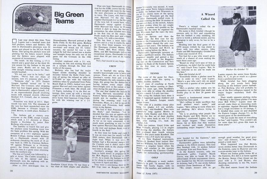 Big Green Teams