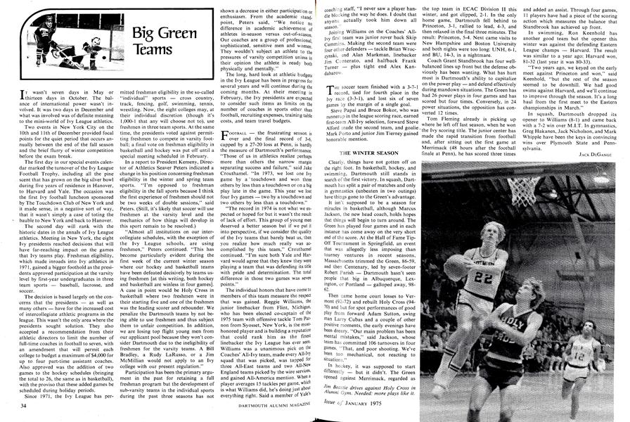 Big Green Teams