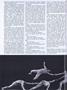 Page: - 22 | Dartmouth Alumni Magazine