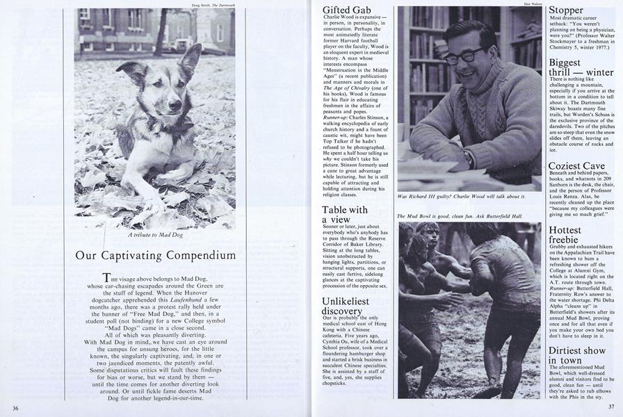 Our Captivating Compendium
