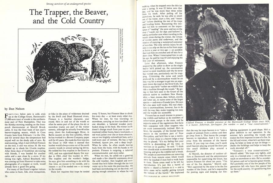 The Trapper, the Beaver, and the Cold Country