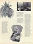 Page: - 43 | Dartmouth Alumni Magazine