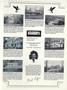 Page: - 75 | Dartmouth Alumni Magazine