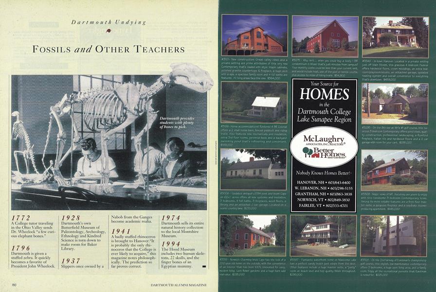 Fossils and Other Teachers
