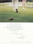 Page: - 84 | Dartmouth Alumni Magazine