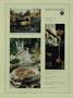 Page: - 6 | Dartmouth Alumni Magazine