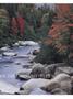Page: - 33 | Dartmouth Alumni Magazine