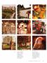 Page: - 43 | Dartmouth Alumni Magazine