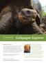 Page: - 7 | Dartmouth Alumni Magazine