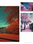 Page: - 51 | Dartmouth Alumni Magazine