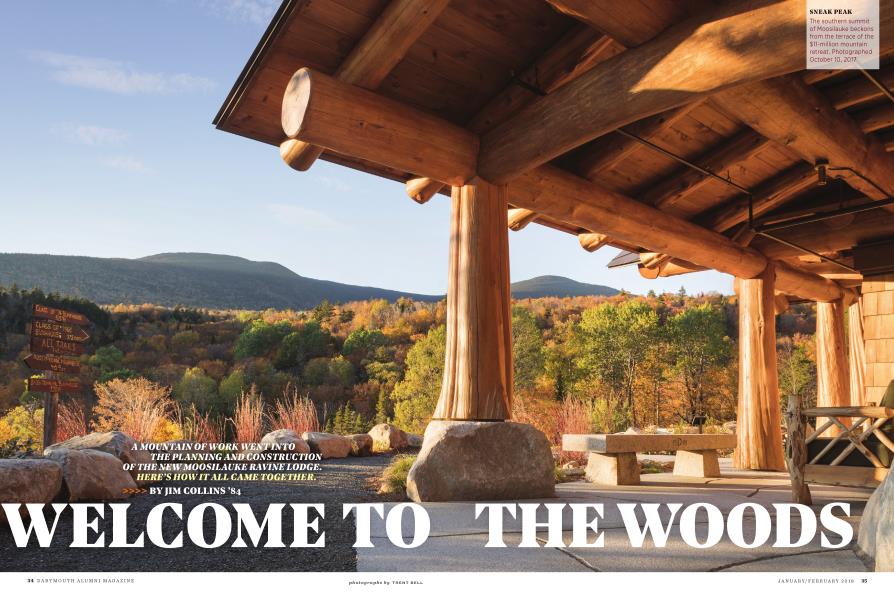 Welcome to the Woods