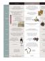 Page: - 100 | Dartmouth Alumni Magazine