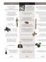 Page: - 100B | Dartmouth Alumni Magazine