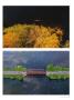 Page: - 43 | Dartmouth Alumni Magazine
