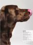 Page: - 33 | Dartmouth Alumni Magazine